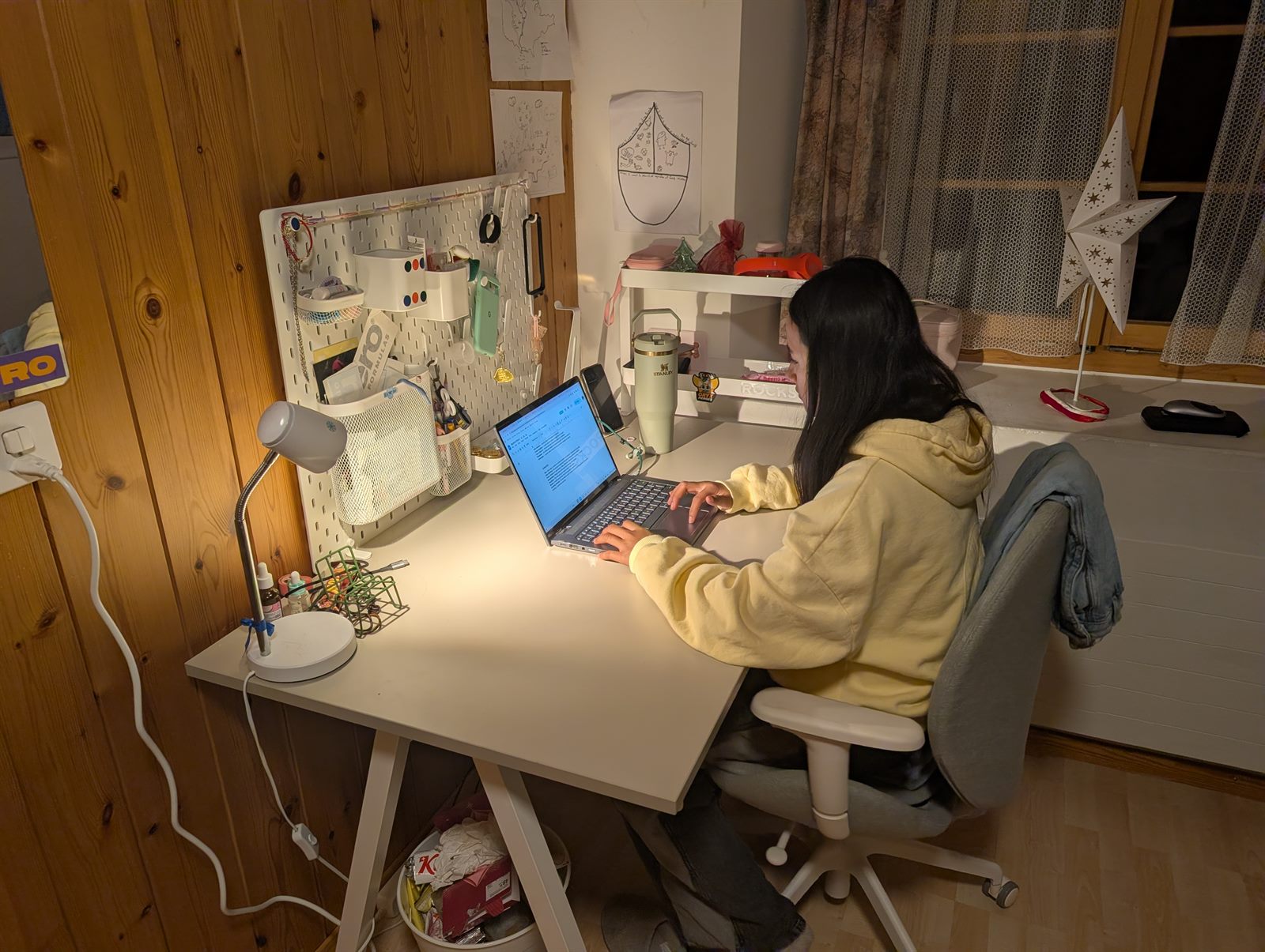My Wild Life: Balancing Pro Snowboarding & Home Schooling — evening study session
